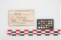 Etikett zu Bronzearmreif (NHMW-PRAE-026338)